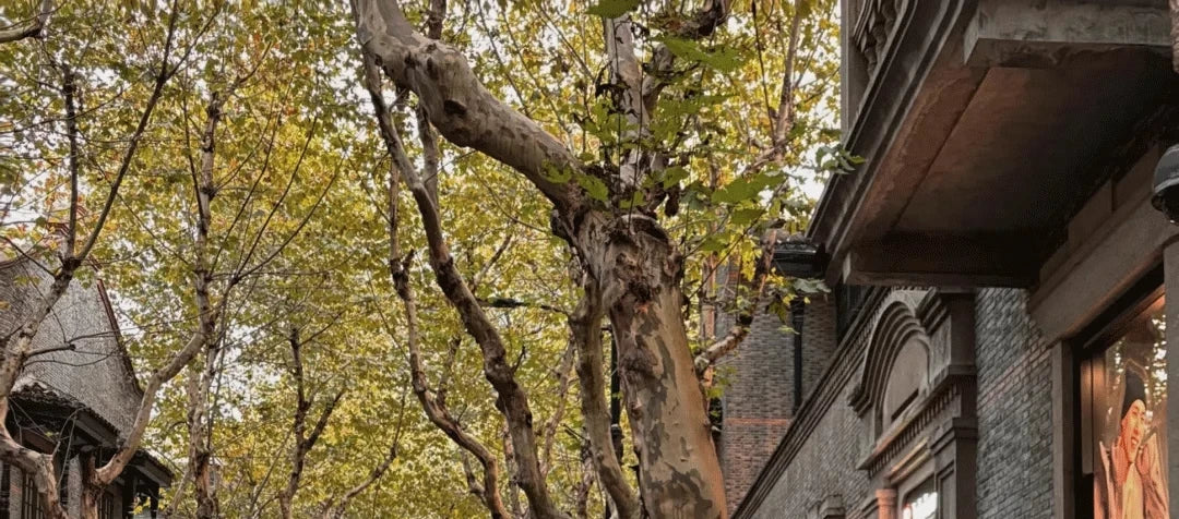 Women American Street Bell-Bottom Jeans Grunge Japanese Abi Low Rise Y2K Embroidery Denim Flare Pants 2000s Grunge Goblin Core