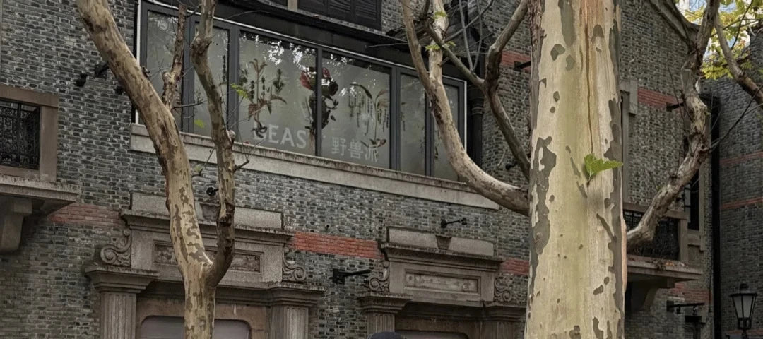 Women American Street Bell-Bottom Jeans Grunge Japanese Abi Low Rise Y2K Embroidery Denim Flare Pants 2000s Grunge Goblin Core